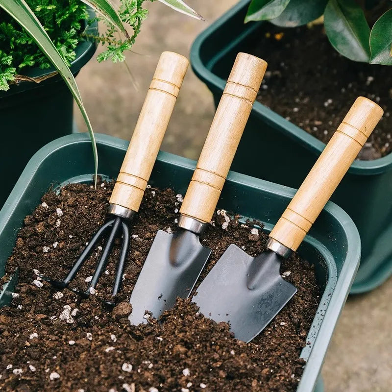 3PCS Planting Tools Mini Digging Weeding Garden Tool Set for Indoor Flower Pot Cactus Vegetables Small Plants Garden BZQ01