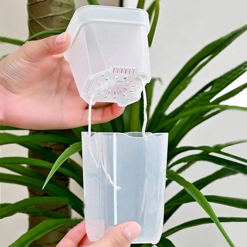 Clear self-watering plant pot with wick holes and hanging cord for drainage