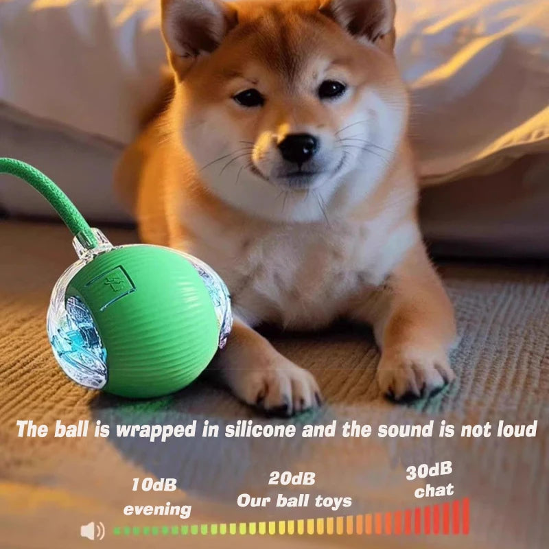 Shiba Inu playing with a quiet, rechargeable green silicone smart interactive ball toy for cats and dogs.