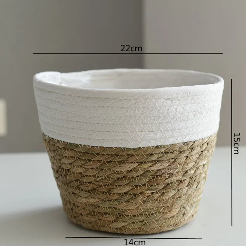 Woven grass planter basket with white top band and tan lower section, 14cm wide.