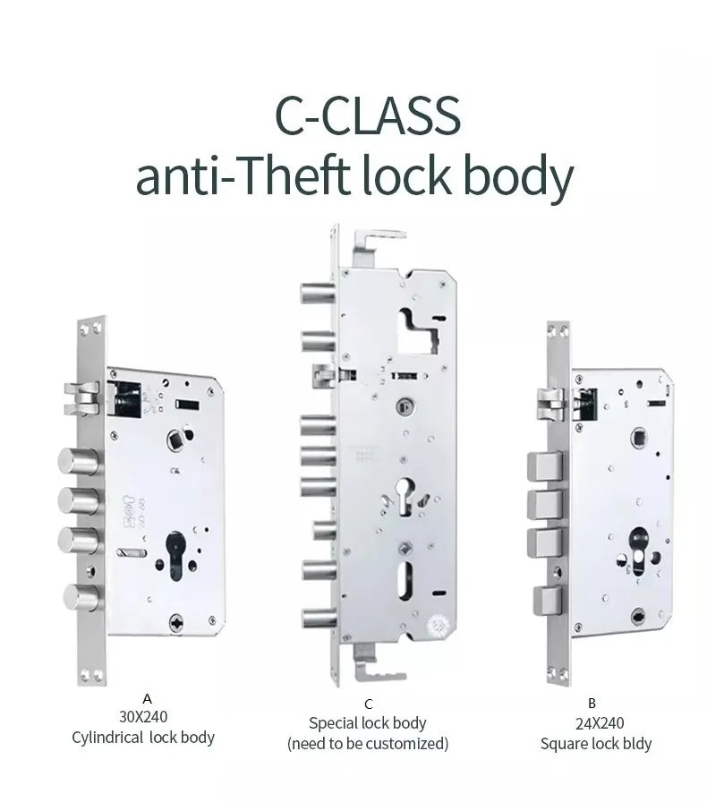 Wifi Outdoor Face Recognition Door Lock System Fingerprint Rf Id Card Keyless Smart Lock Camera Video Capture Rechargeable