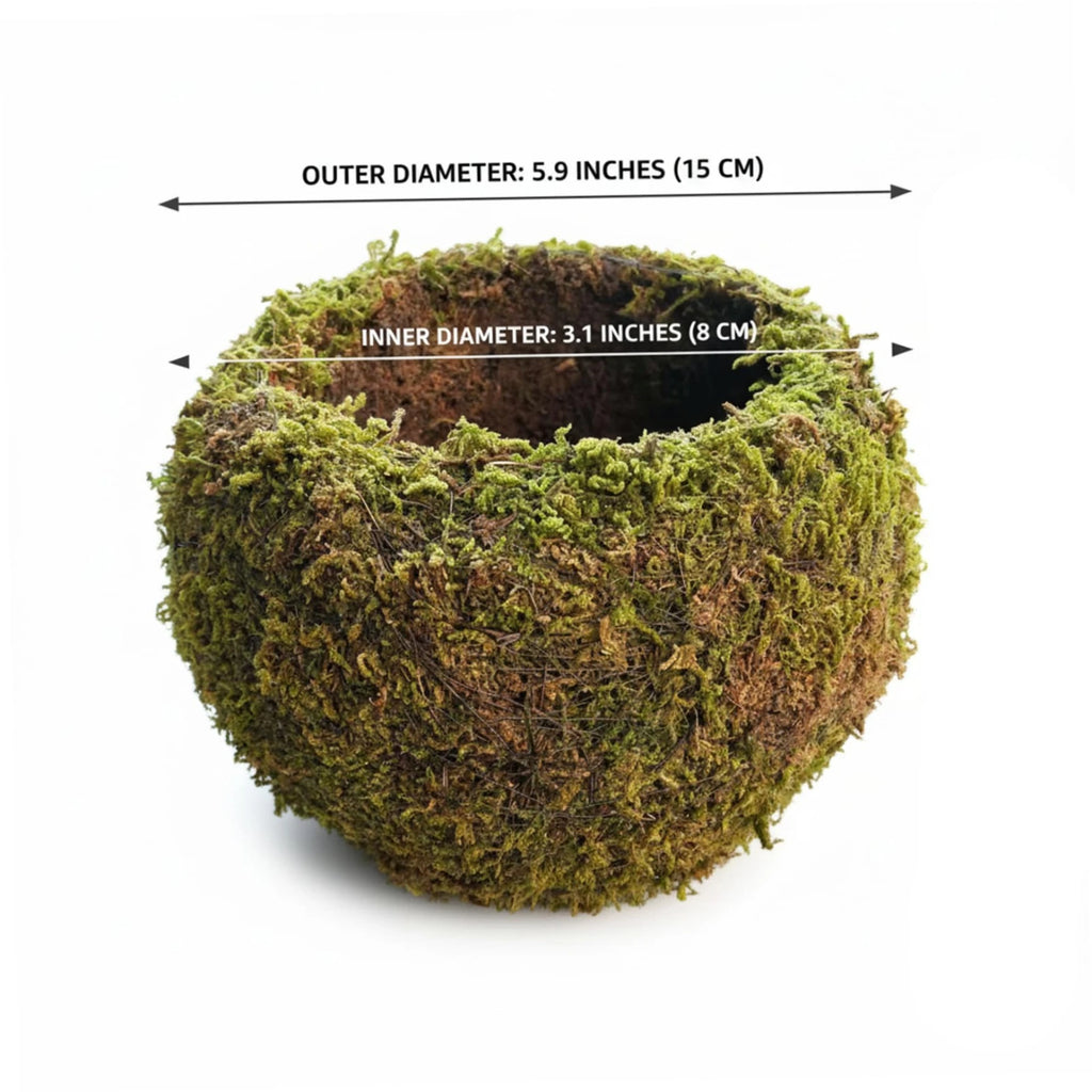 Handmade Moss Ball Planter Large 15cm Artificial Succulent Container Creative Home Gardening Desktop Bonsai Pot