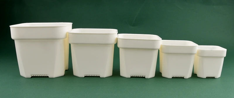 Multiple white square plant pots lined up, thick-walled design