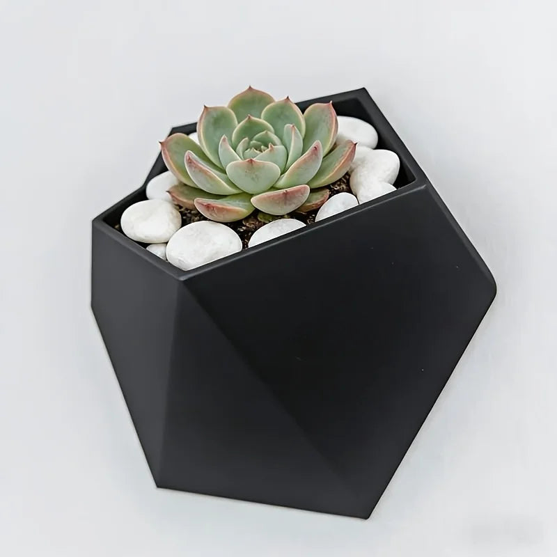 Black hexagonal wall planter with mounting holes, holding succulent plants and stones