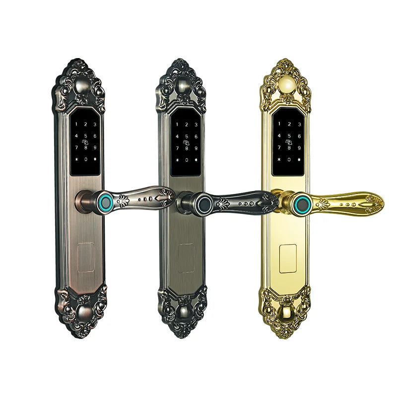Competitive Price OEM&ODM TT Fingerprint Password Gold Handle Smart Door Handel Lock D30zm