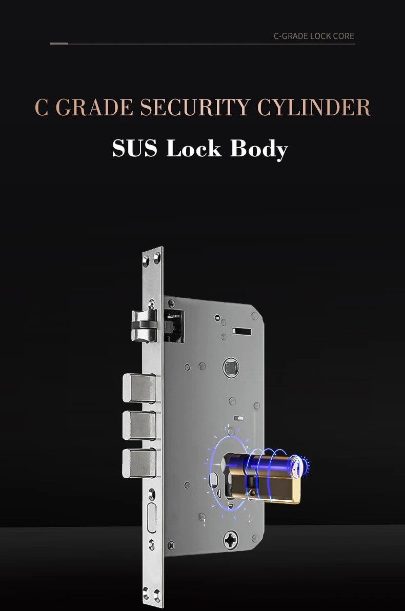 Competitive Price OEM&ODM TT Fingerprint Password Gold Handle Smart Door Handel Lock D30zm