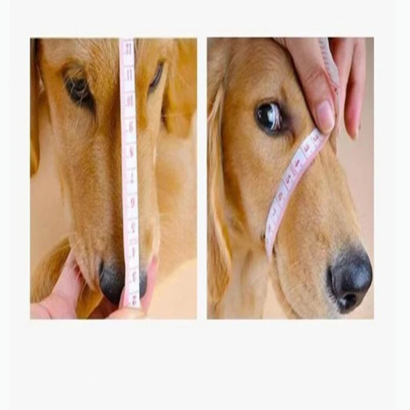 Measuring dog snout size for an adjustable, breathable anti-bite pet muzzle to ensure a comfortable fit.