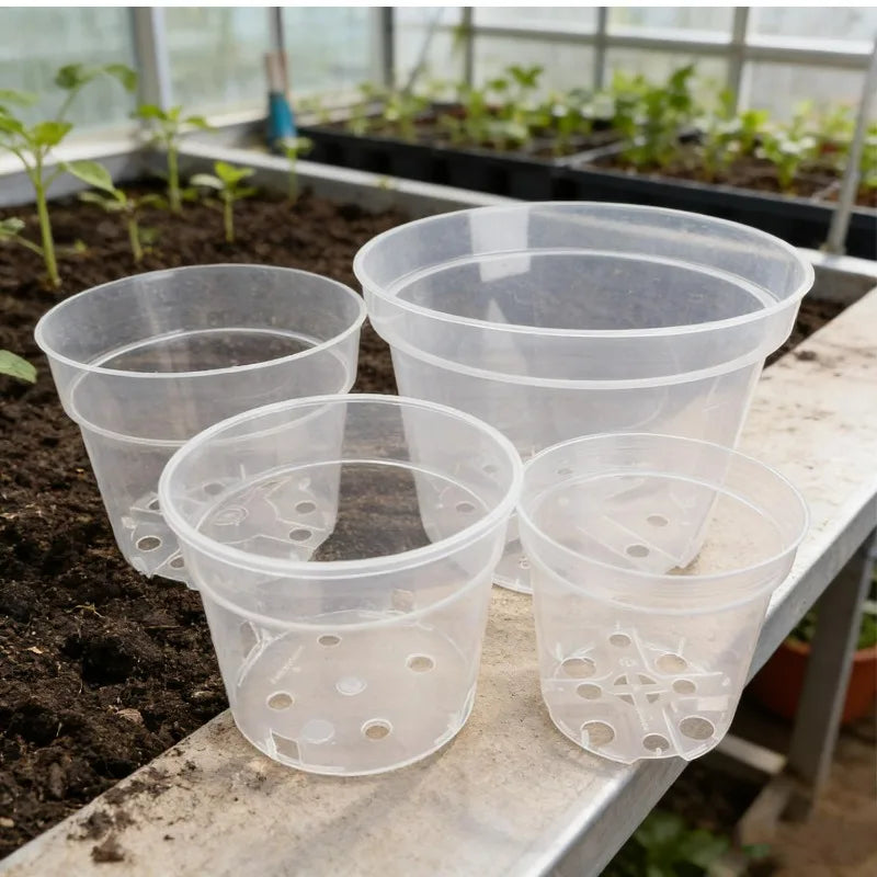 Clear plastic nursery pots arranged on a tray, round form with drainage hole pattern