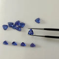 Loose blue trillion-cut gemstones, scattered with one near a pair of tweezers