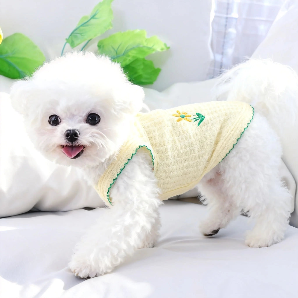 Cute Bichon in a soft, yellow summer dog tank top. Breathable, lightweight pet apparel for small dogs and cats.