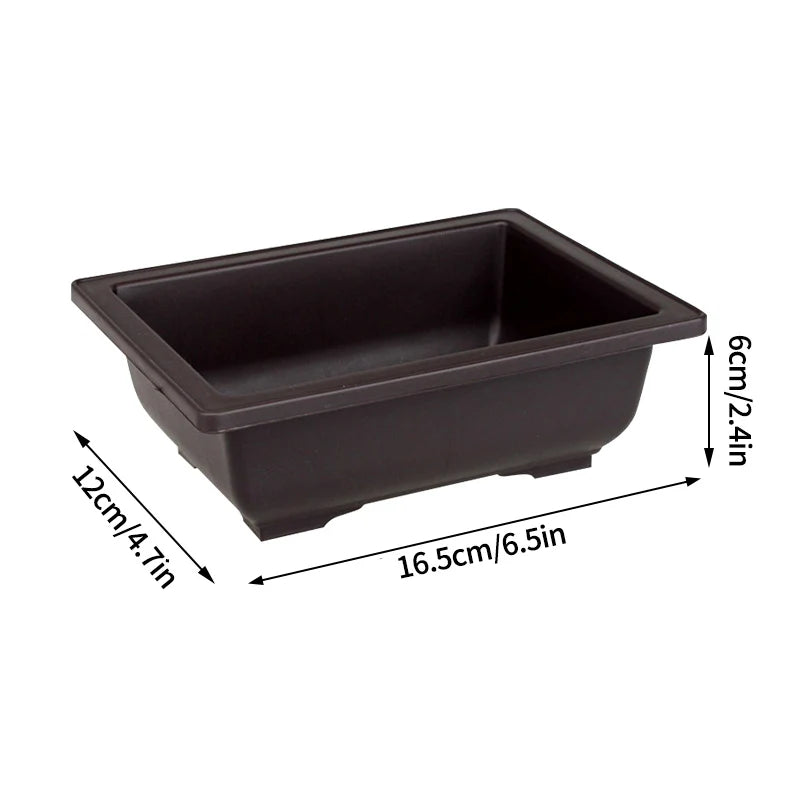 Rectangular black planter pot for succulents and bonsai