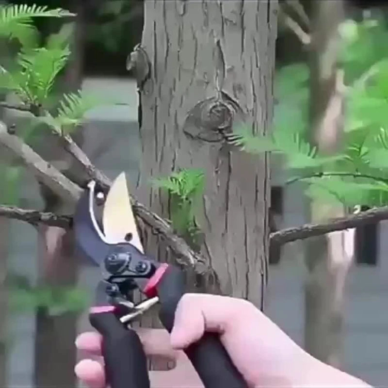 Hand holding pruning shears with black handles and curved gold blade near a tree
