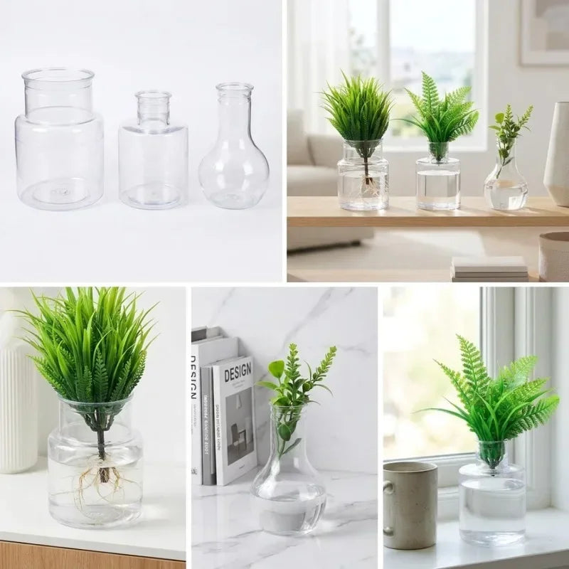 Set of clear glass hydroponic rooting pots with small green tabletop plants
