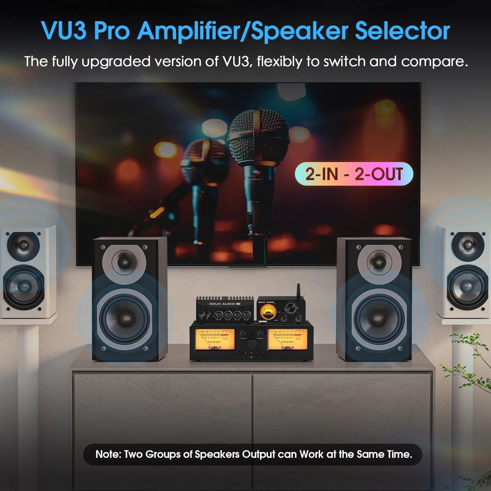 Amplifier Speaker Selector Switcher 2-In-2-Out with Analog VU Meter Tidesmit