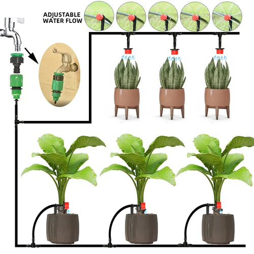 Drip irrigation system with adjustable drippers over potted plants and black tubing