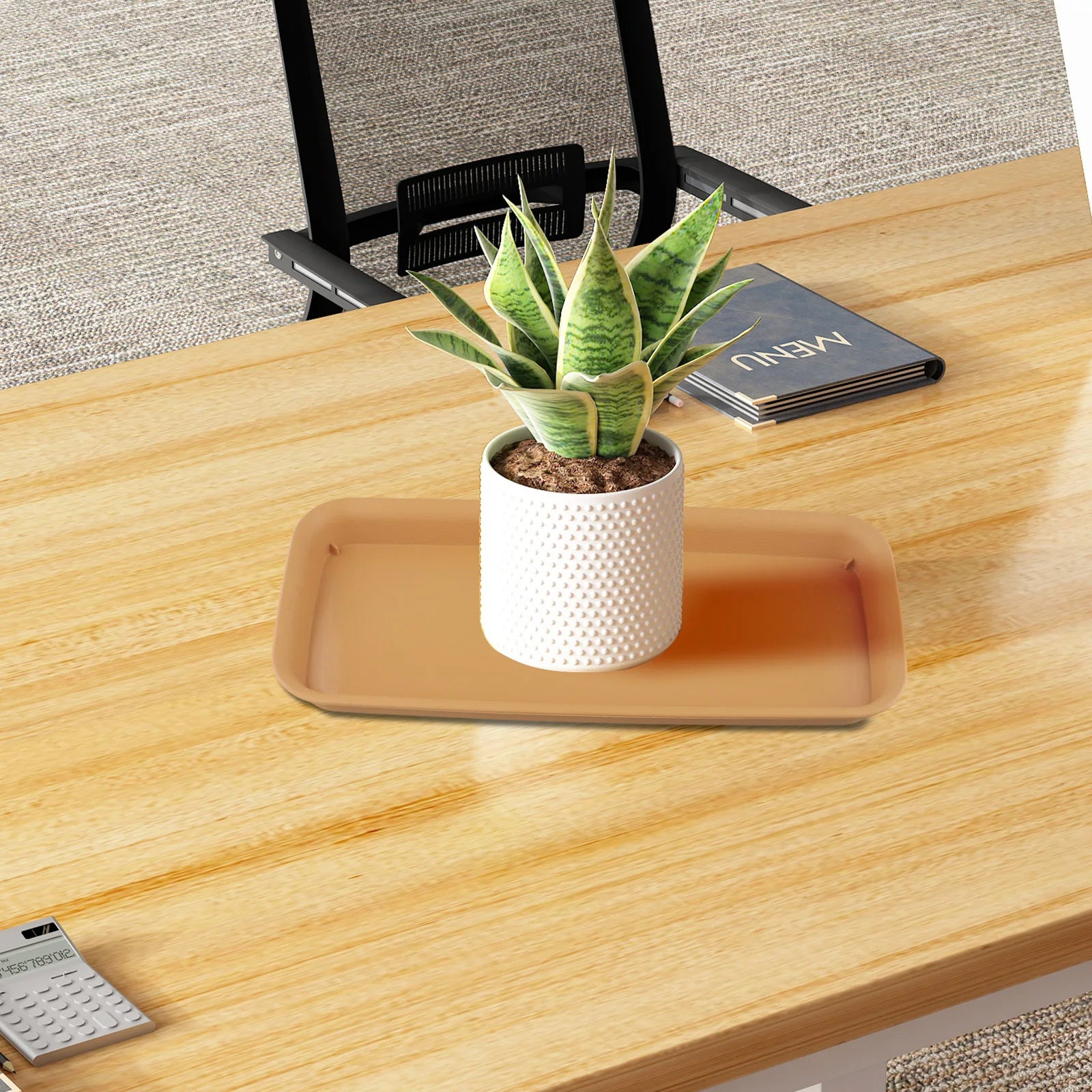 Rectangular terracotta plastic plant water tray holding a potted succulent