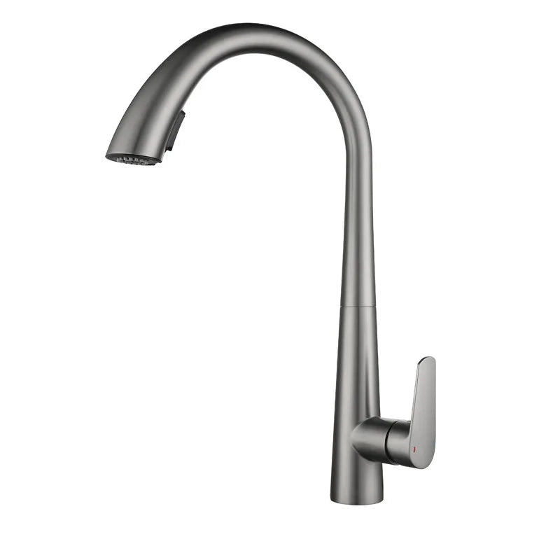 Stainless Steel Gold Kitchen Faucet Brushed Gold Kitchen Hot and Cold Water Faucet Washbasin Sink Faucet