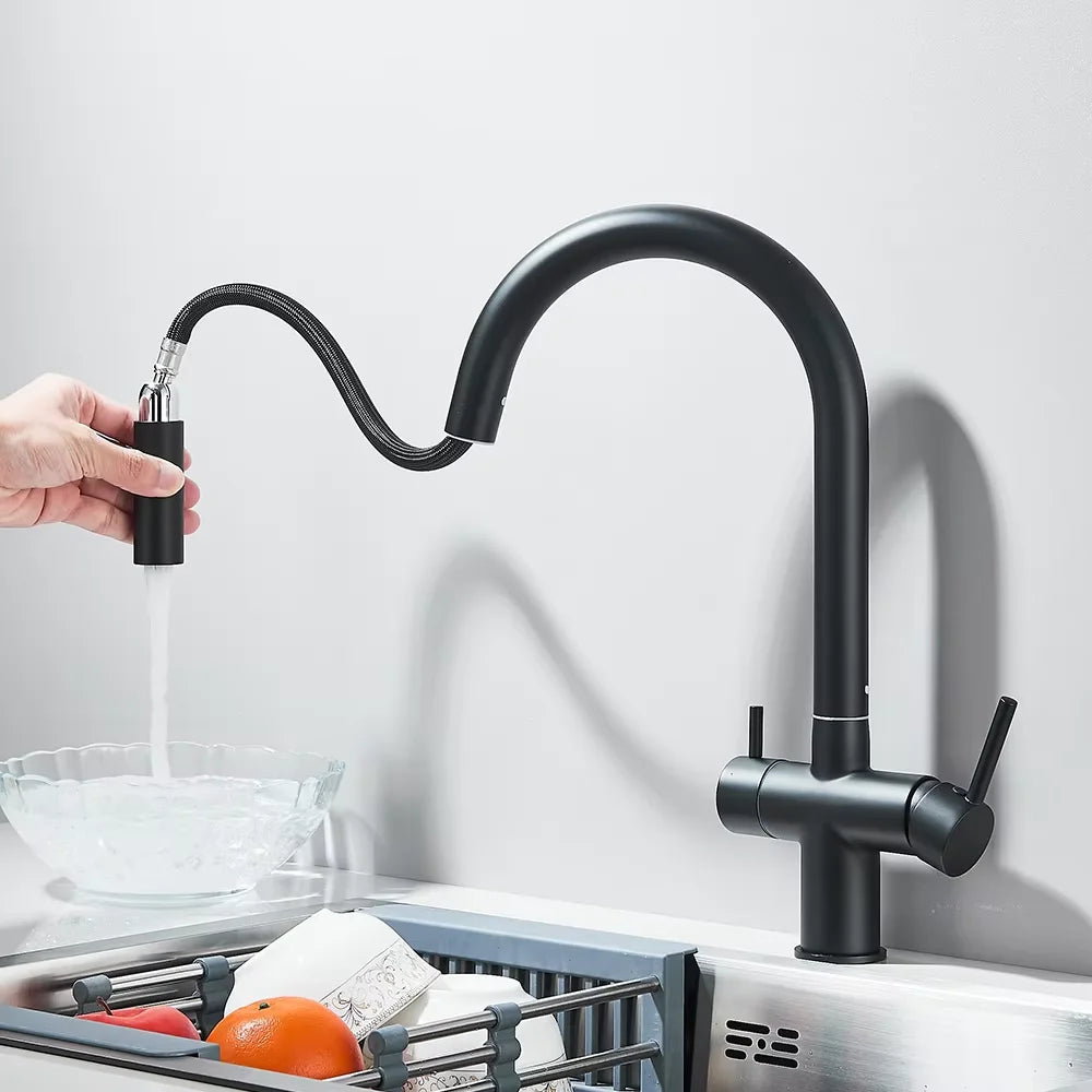 Pure Water Filter Kitchen Faucet Pull Out Flexible Kitchen Faucets Dual Handle Stainless Steel 2 in 1 Hot Cold Water Mixer Tap