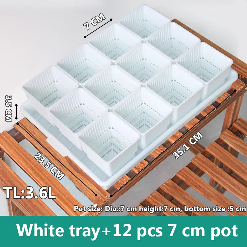 White square drainage tray with twelve white 7 cm square plant pots