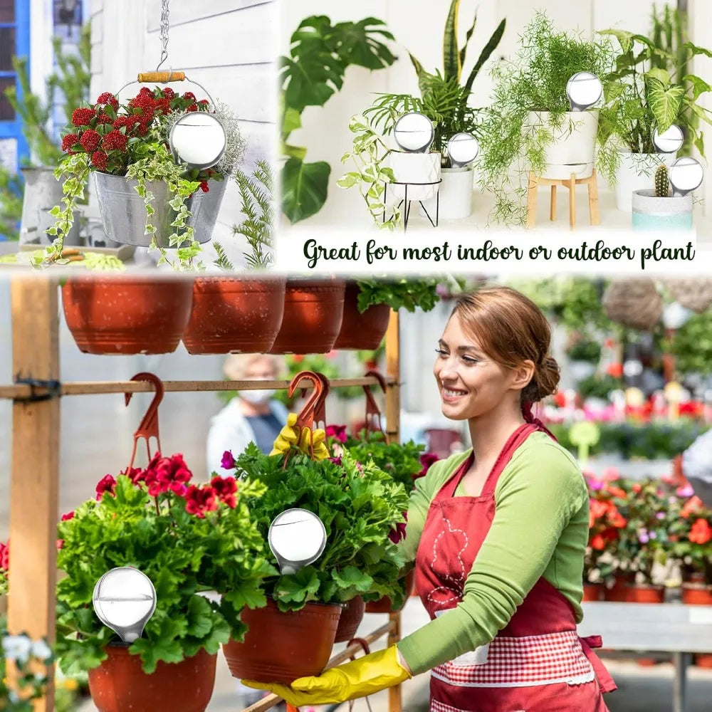 Transparent plant watering globes in an outdoor garden display with potted plants