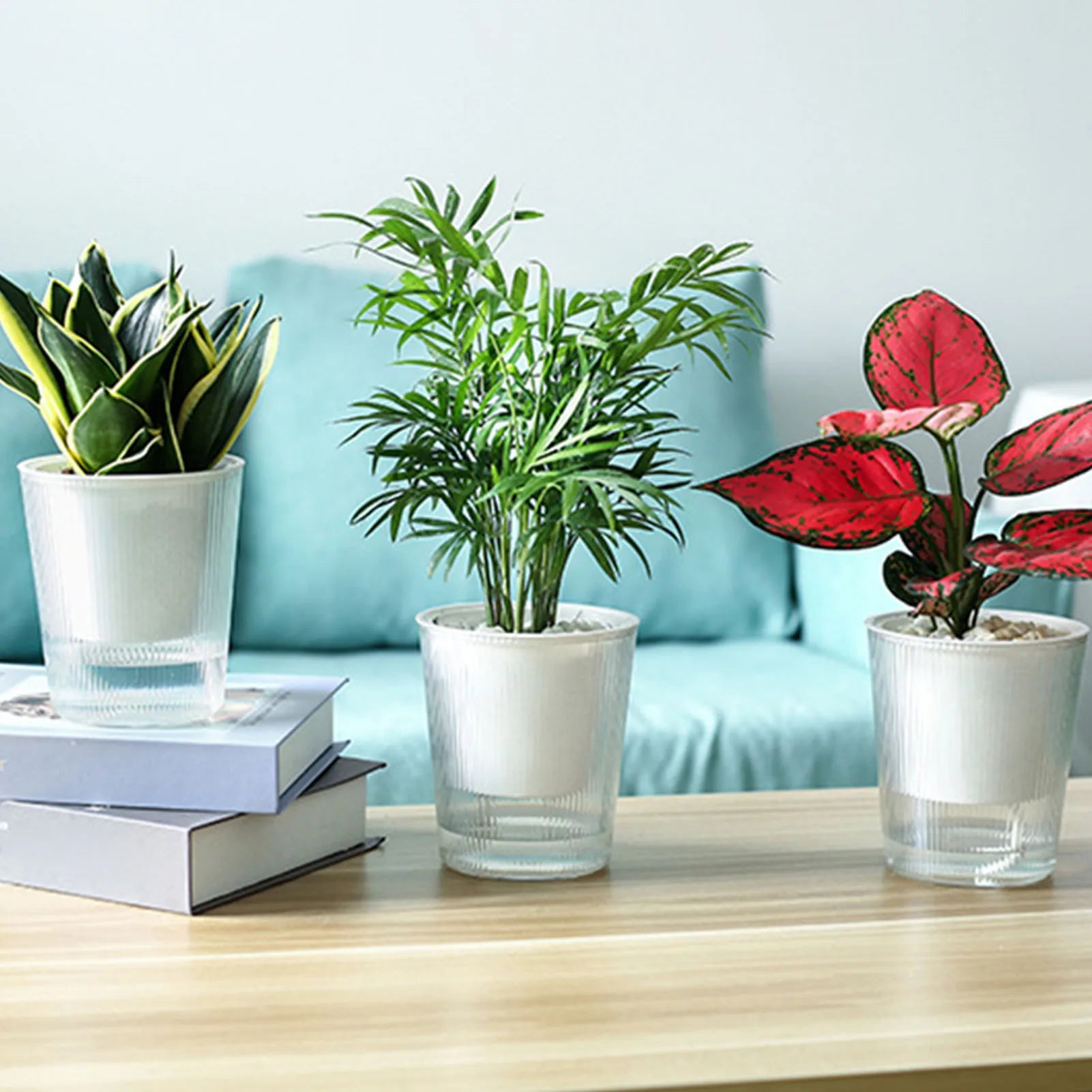 Clear Self Watering Planters Pots Household Anti Rot Self-Watering Planters for Living Room Plants Flowers Gardening Accessory