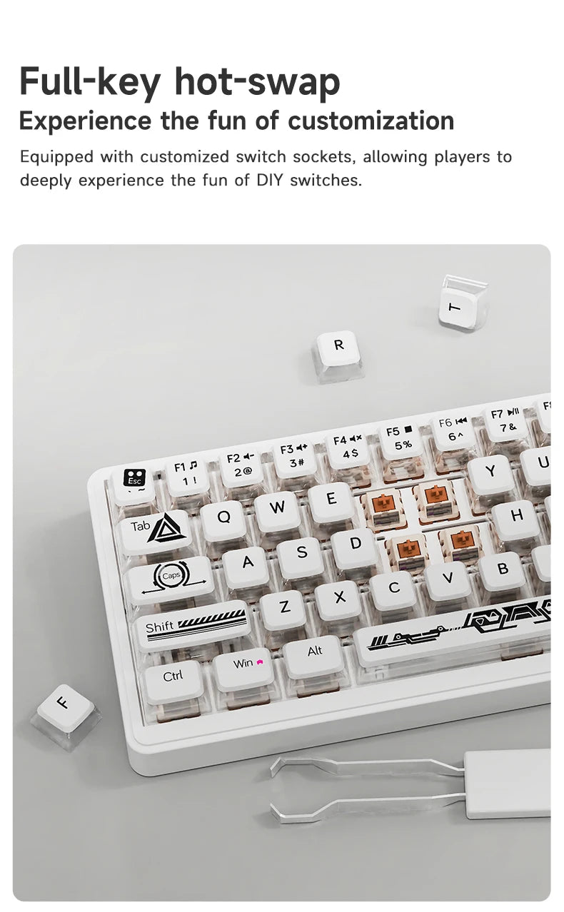 AJAZZ AK690 65% Mechanical Keyboard Wired USB Plug and Play Full-key Hot-Swap Mixed Light 68 Keys Gaming Keyboard for Laptop PC