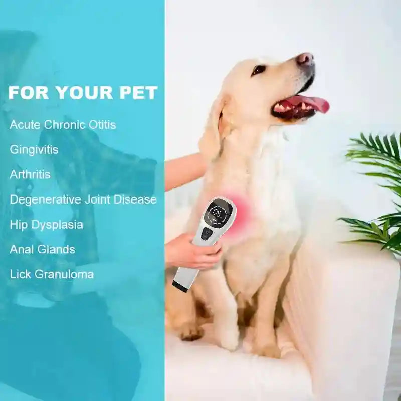 Laser Therapy Device for Pain Relief - 808nm LLLT Portable Wellness Tool Eye Massage Instrument Tidesmit