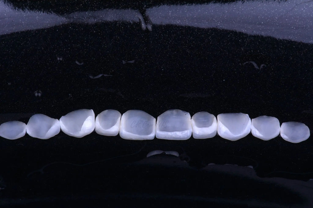 Lodden 10PCS Lithium Disilicate C14 Dental Glass Ceramic Blocks CAD CAM Sirona Cerec Block HT LT MT Lab Veneer Dentist Materials