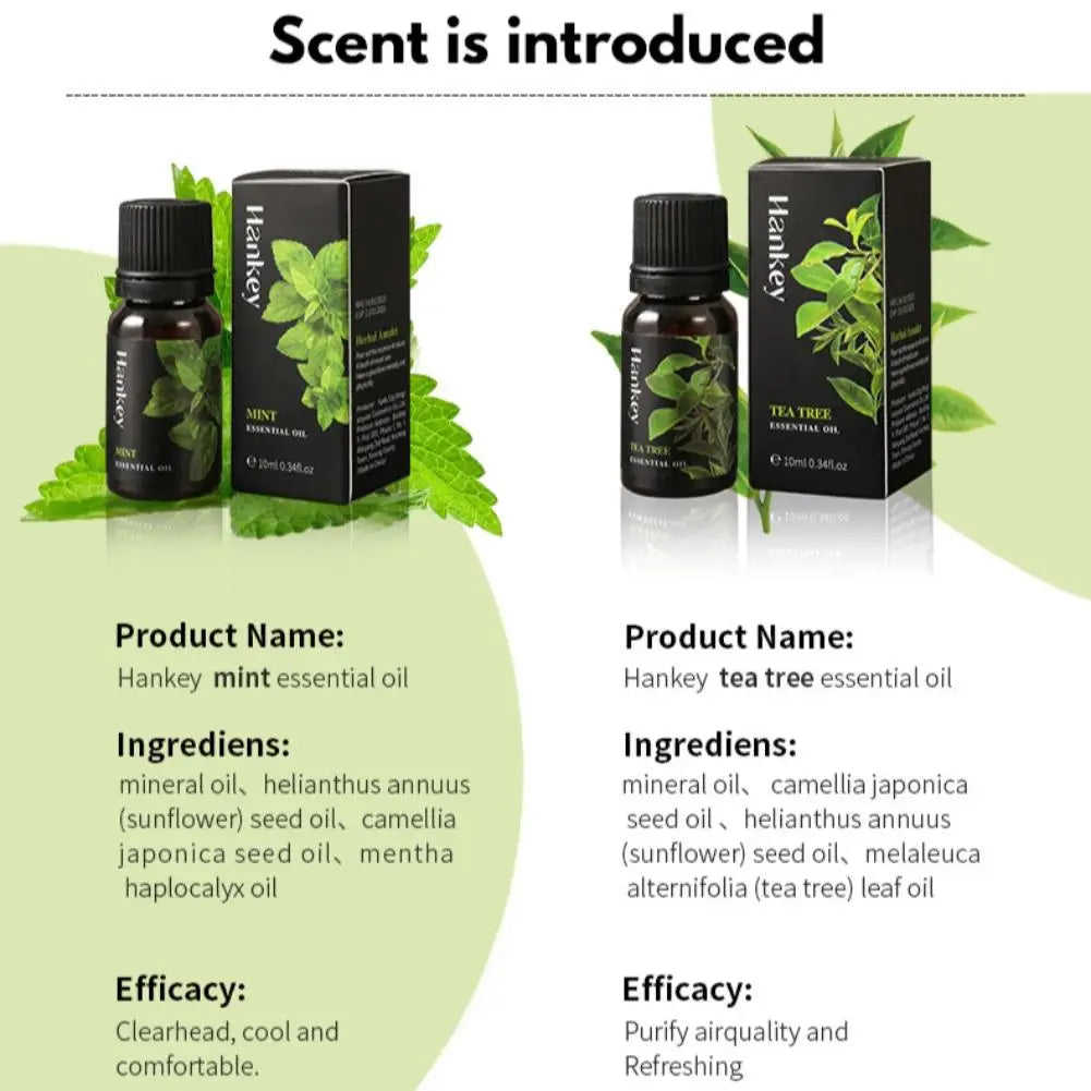 12 Flavors 10ml Essential Oils for Aroma Diffuser Air Humidifier Home Water-soluble Lavender Vanilla Orange Olive Fragrance Oil