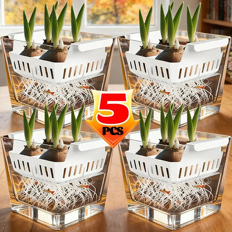 Hydroponic Planter Tulip Bulb Planter 4-cell Hydroponic Flower Pot with Reservoir Indoor Gardening Pot Drainage System for Home