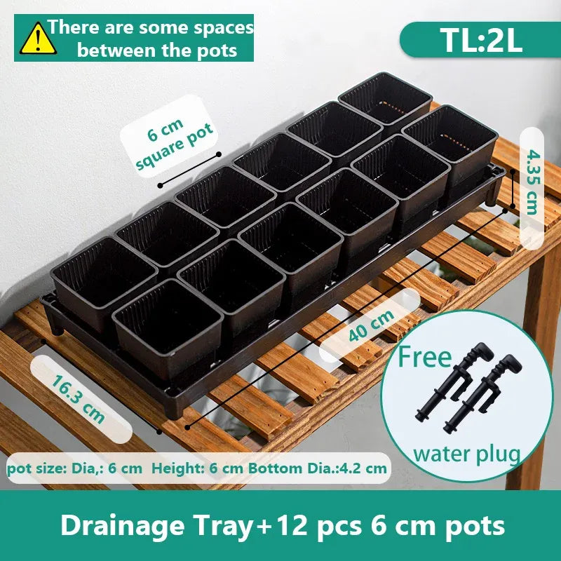Black drainage tray with twelve ribbed square succulent pots, 6 cm each