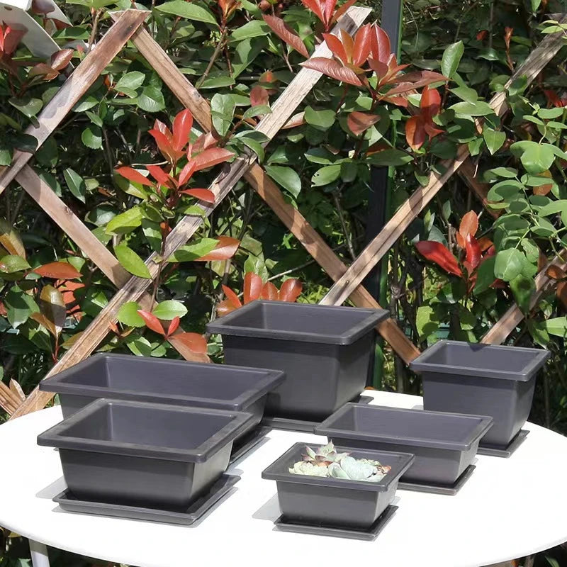 Garden Landscape Bonsai Tray Square Rectangular Flowerpot Succulent Plant Flowerpot Bonsai Pot Small Potted Gardening Supplies