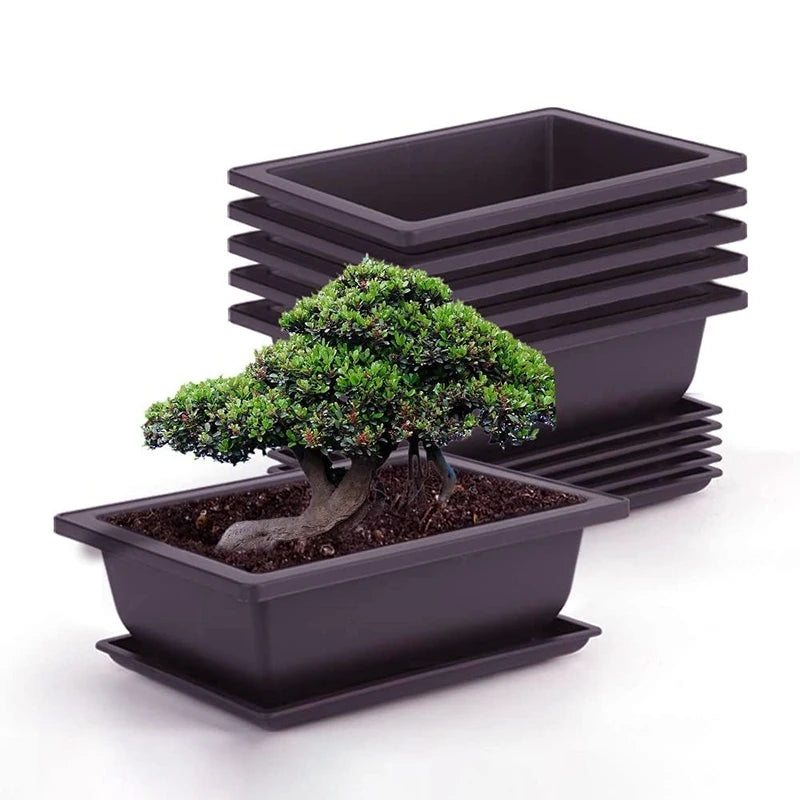 Garden Landscape Bonsai Tray Square Rectangular Flowerpot Succulent Plant Flowerpot Bonsai Pot Small Potted Gardening Supplies