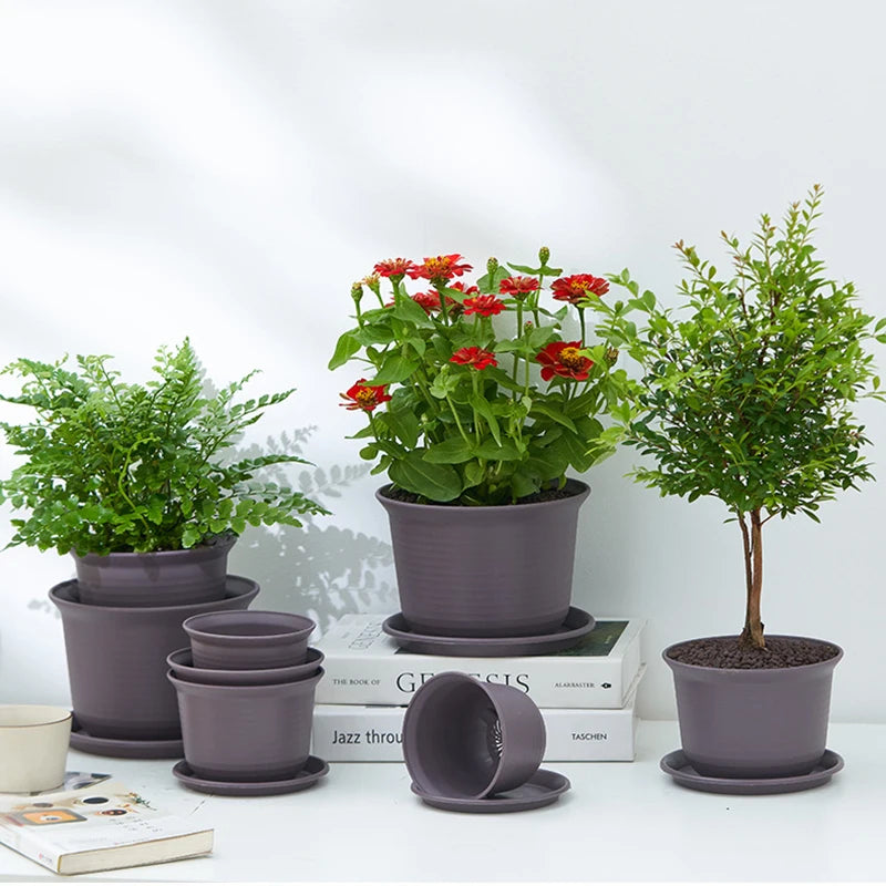 Dark gray plastic flower pot with red blooms and matching smaller nesting pots