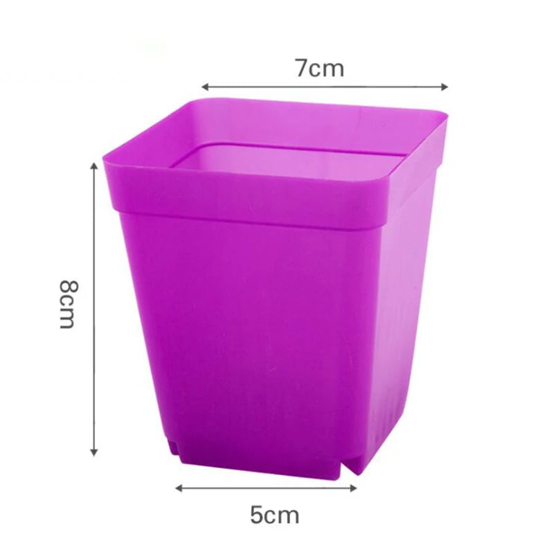 Purple plastic mini flower pot, square open top for nursery or succulents, 7 x 8 cm