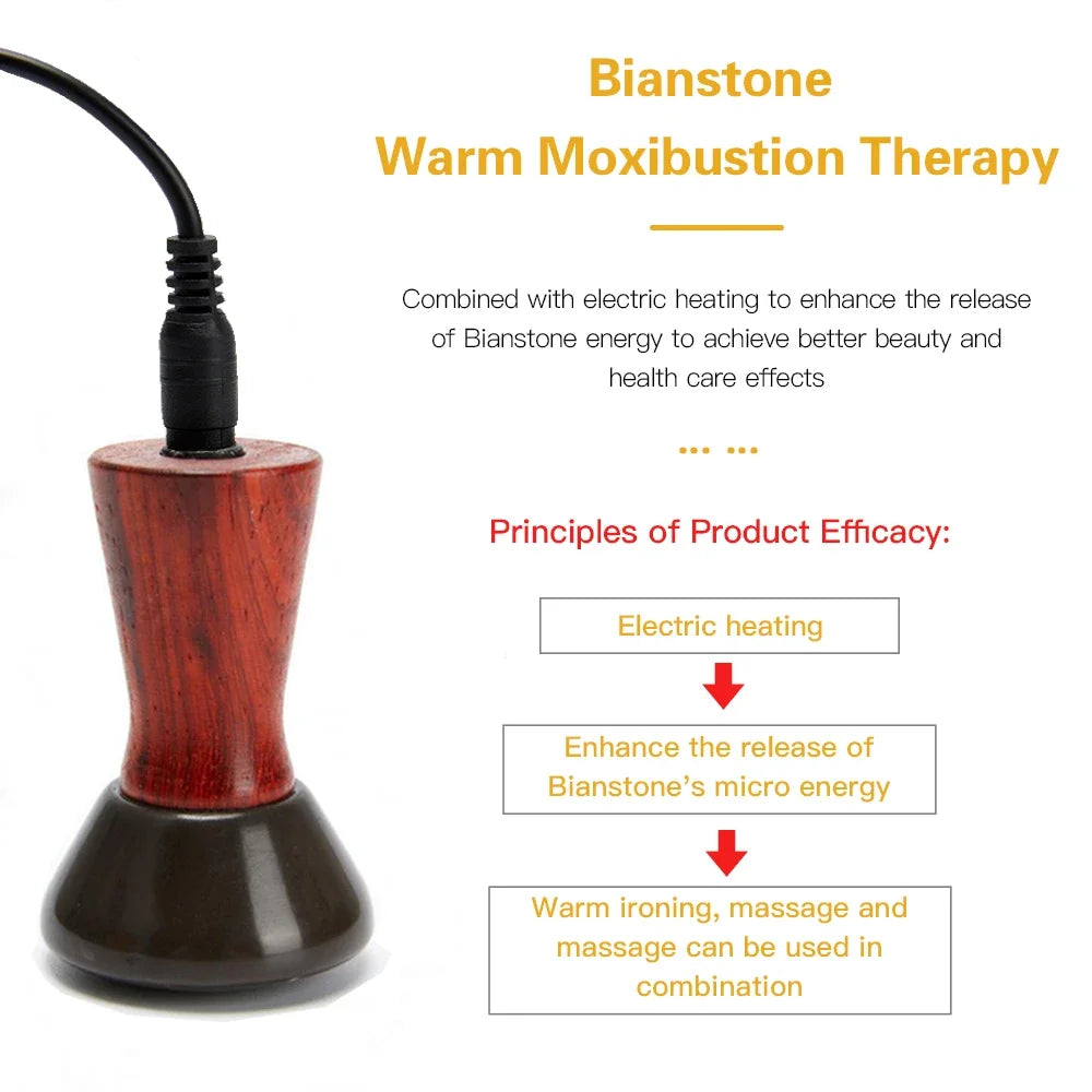 Electric Volcanic Stone Massager | Natural Bian Gua Sha Heat Therapy Back Massage Instrument Tidesmit