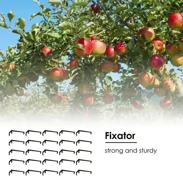Black fruit tree training clips with V-shaped hooks, shown as multiple pieces