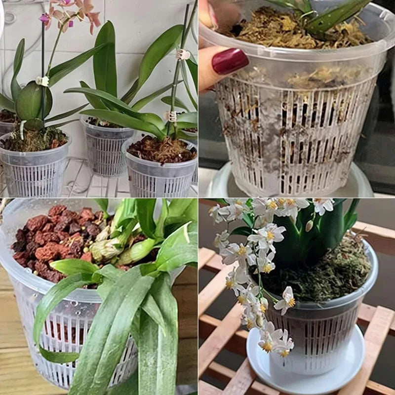 Meshpot Clear Orchid Pots Plastic Orchid Pot with Hole Nursery Flower Breathable Basin Outdoor Planters Gardening Tool Wholesale