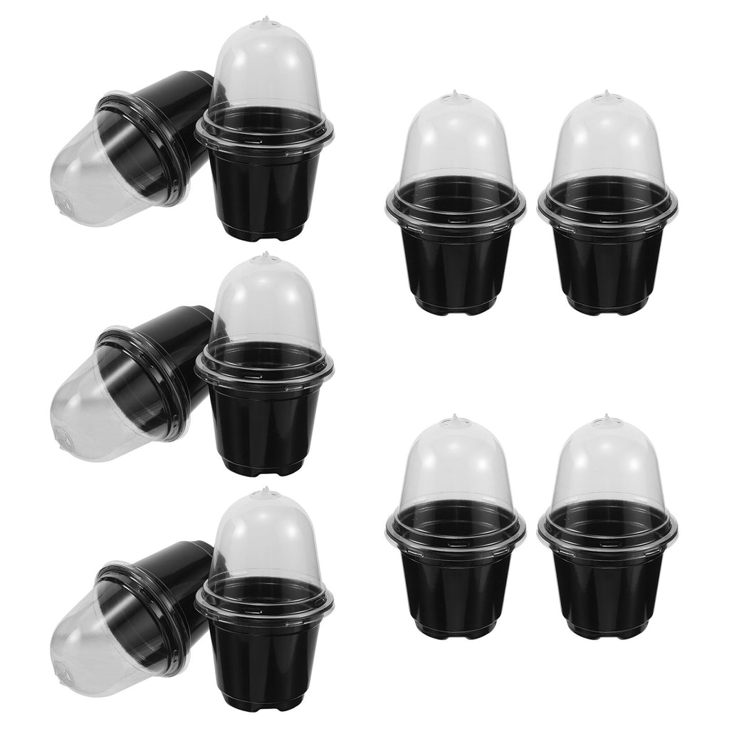 Multiple black seed raising cups with clear dome lids, shown from different angles