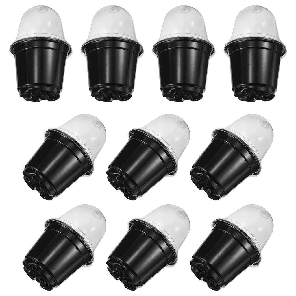 Group of black seed raising cups with clear dome lids, arranged for viewing
