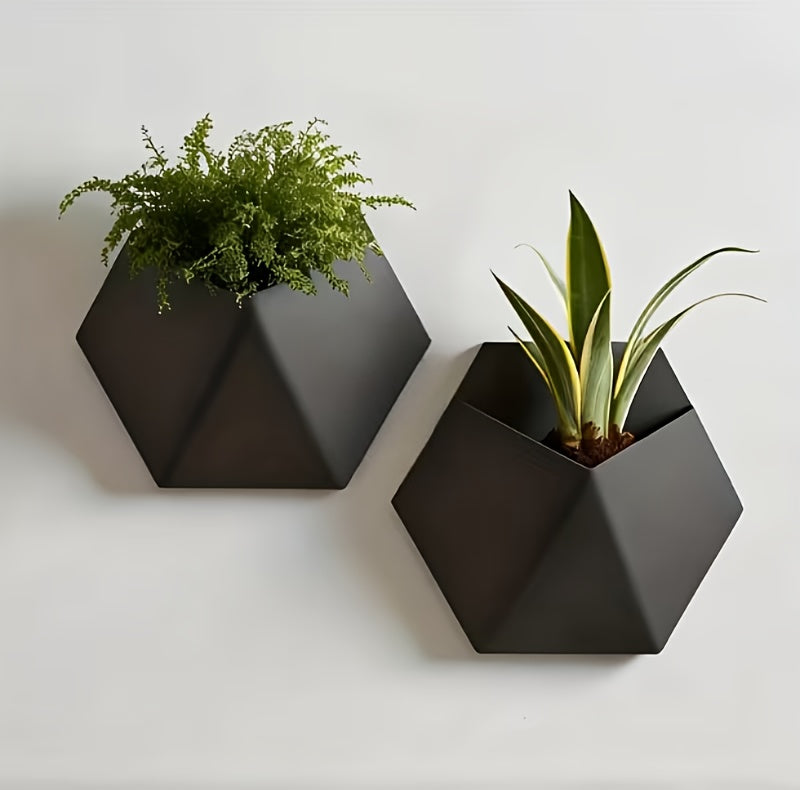 Black hexagonal wall planters with mounting holes, two planters with green plants